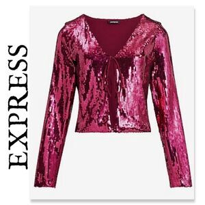 NWT EXPRESS Sequin Long Sleeve Top